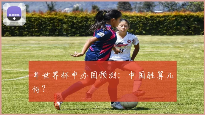 年世界杯申办国预测：中国胜算几何？