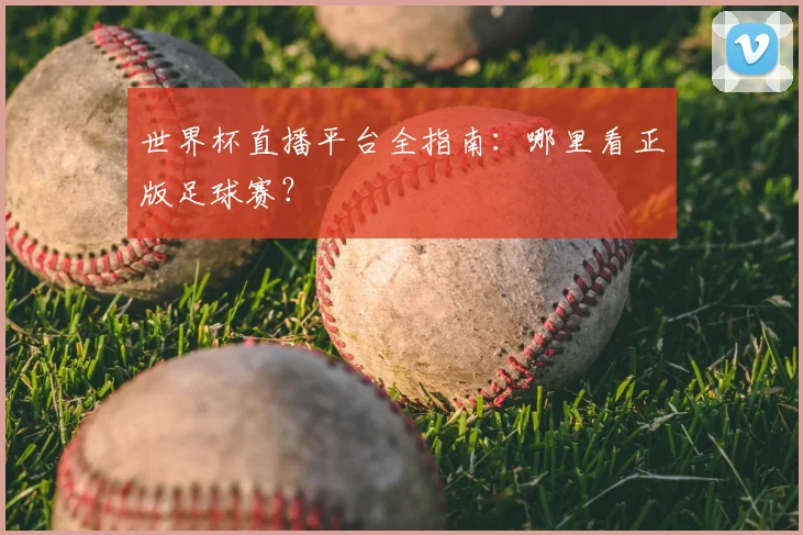世界杯直播平台全指南:哪里看正版足球赛?