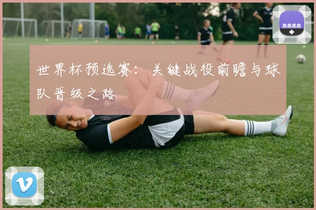 世界杯预选赛:关键战役前瞻与球队晋级之路